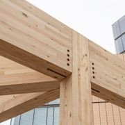 Plantation Oak Timber gallery detail image