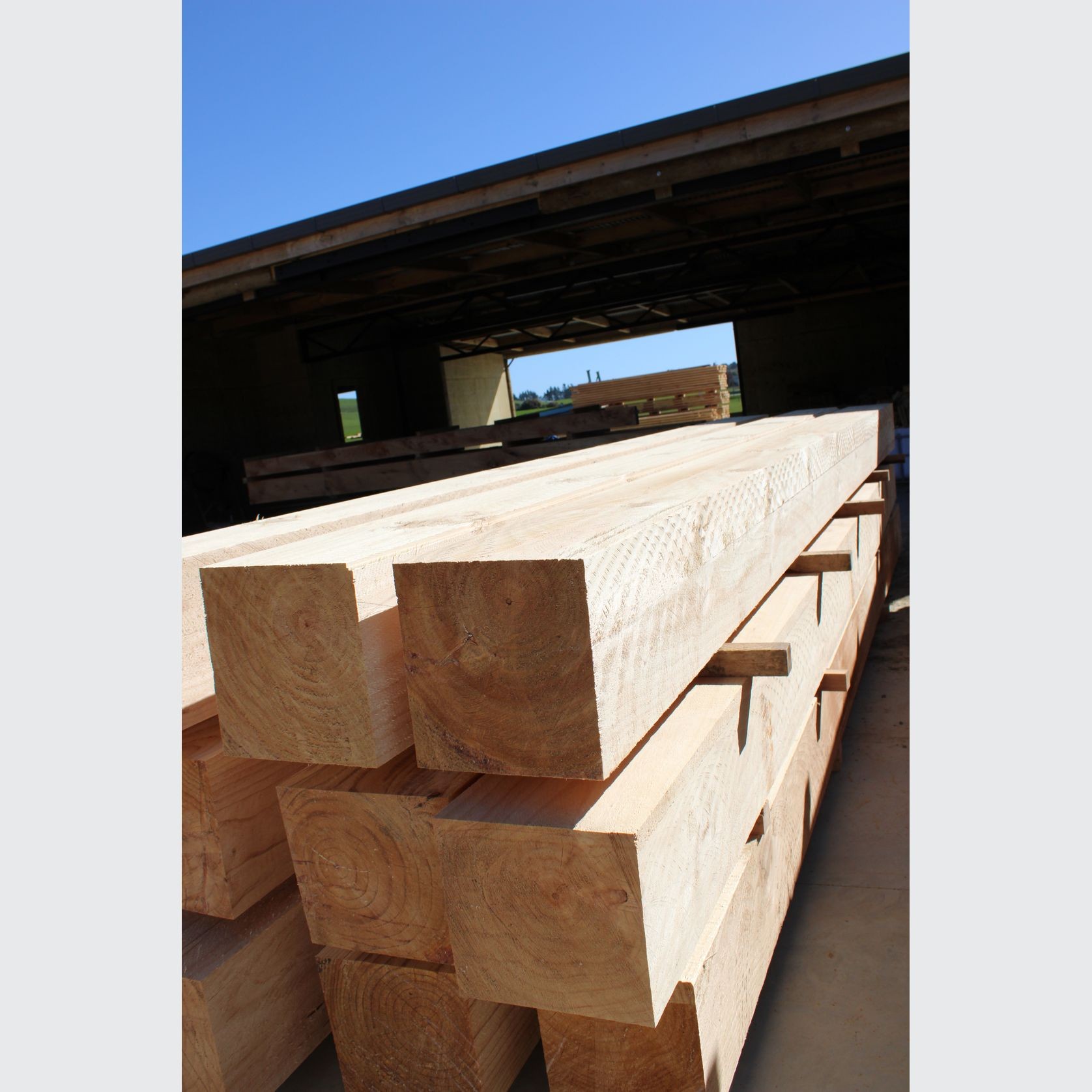 Timber Beams gallery detail image