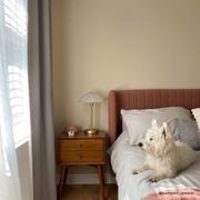 Mid-Century Closed Bedside Table gallery detail image