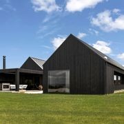 Japanese Cedar Exterior Cladding gallery detail image