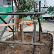 Treated Pine Stakes Rounded Painted Black gallery detail image