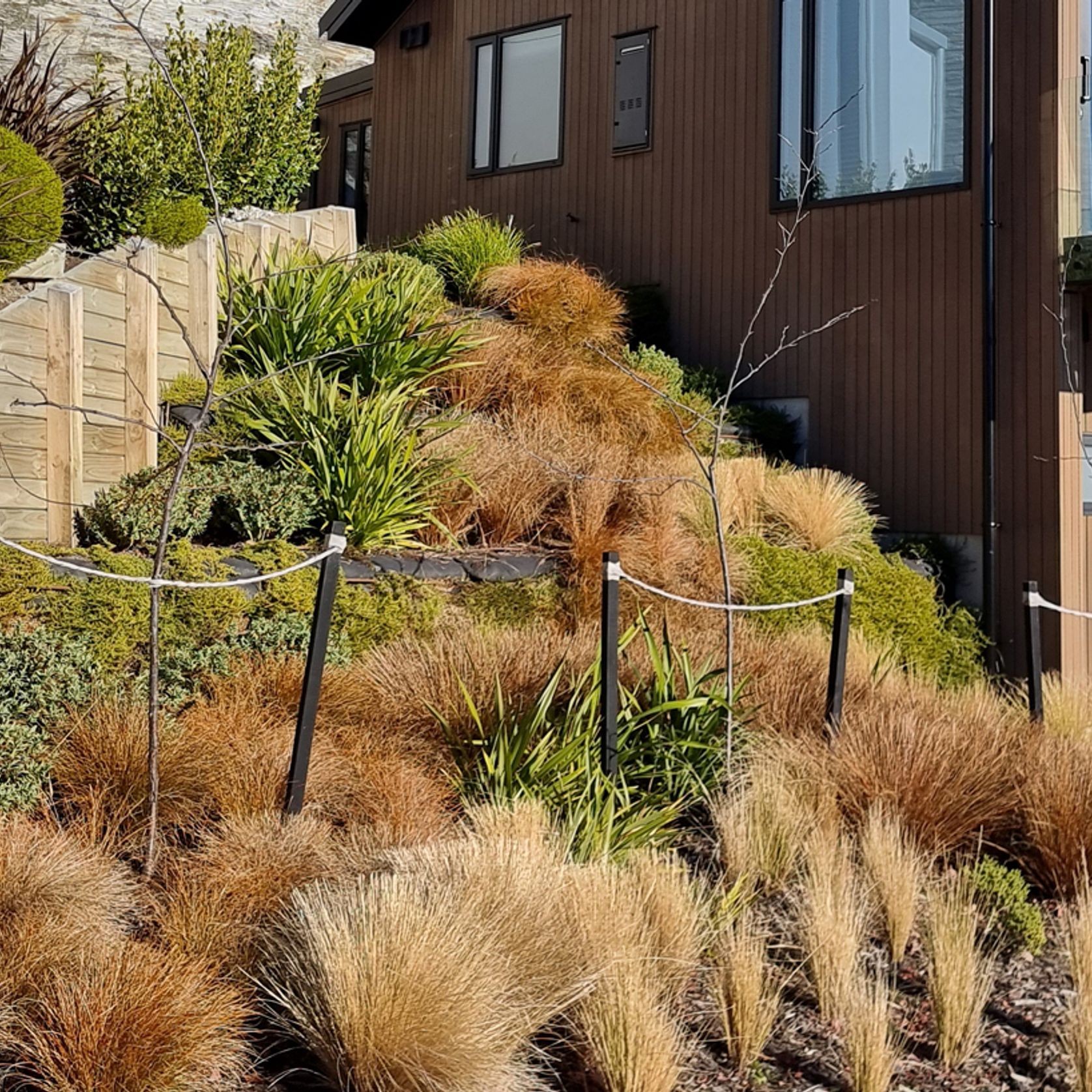 Treated Pine Stakes Painted Black gallery detail image