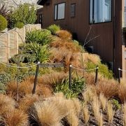 Treated Pine Stakes Painted Black gallery detail image