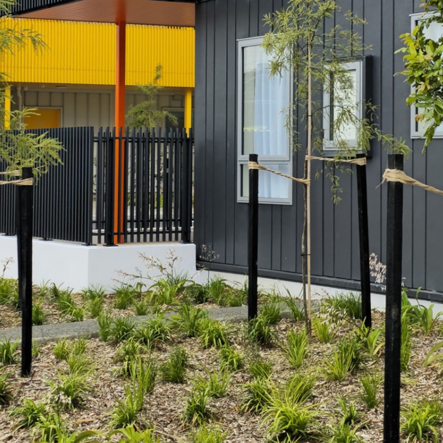 Untreated Pine Stake Painted Black gallery detail image