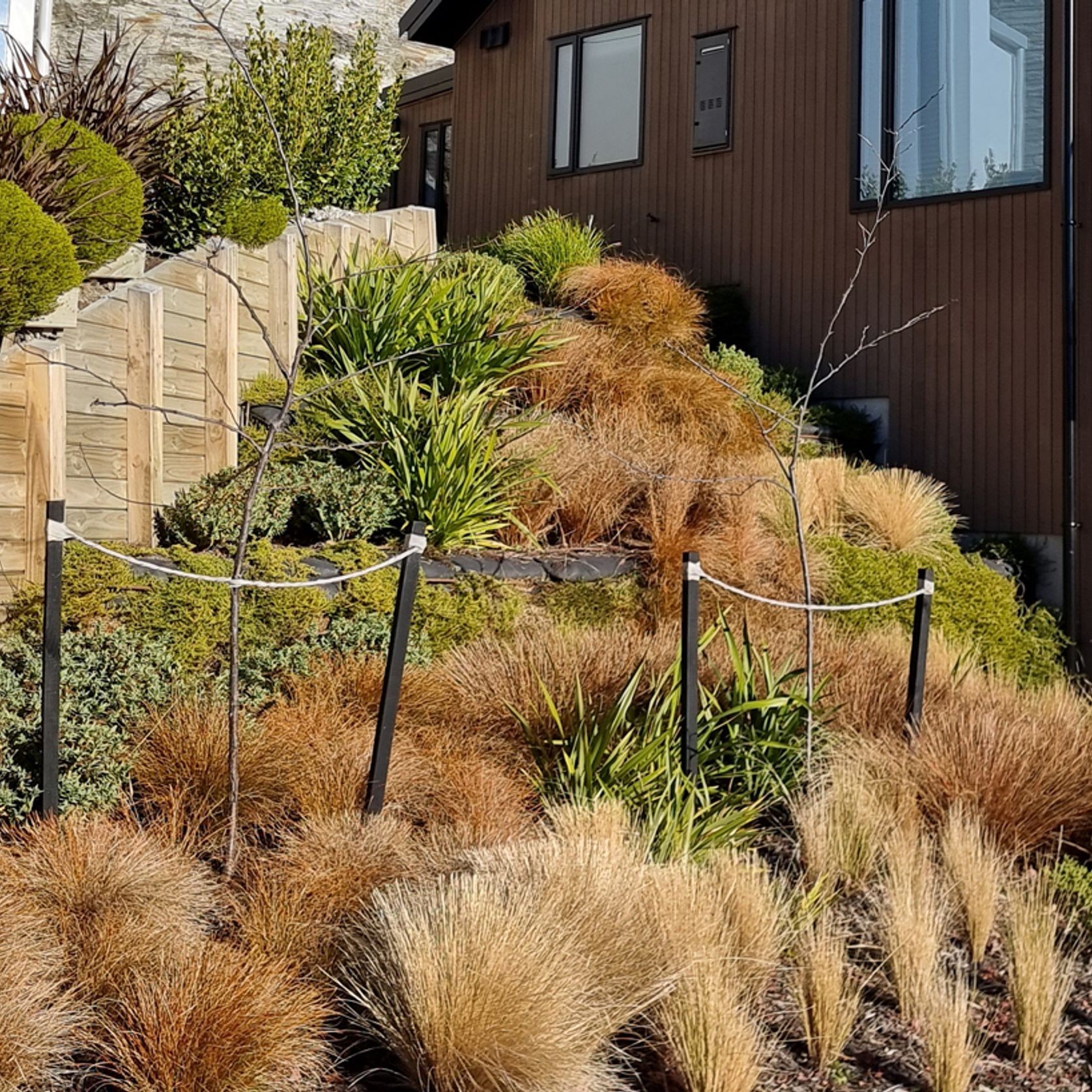 Untreated Pine Stake Painted Black gallery detail image