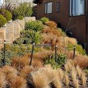 Untreated Pine Stake Painted Black gallery detail image