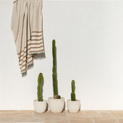 Baya Banksia Throw - Pecan | Summer Outdoor Style gallery detail image