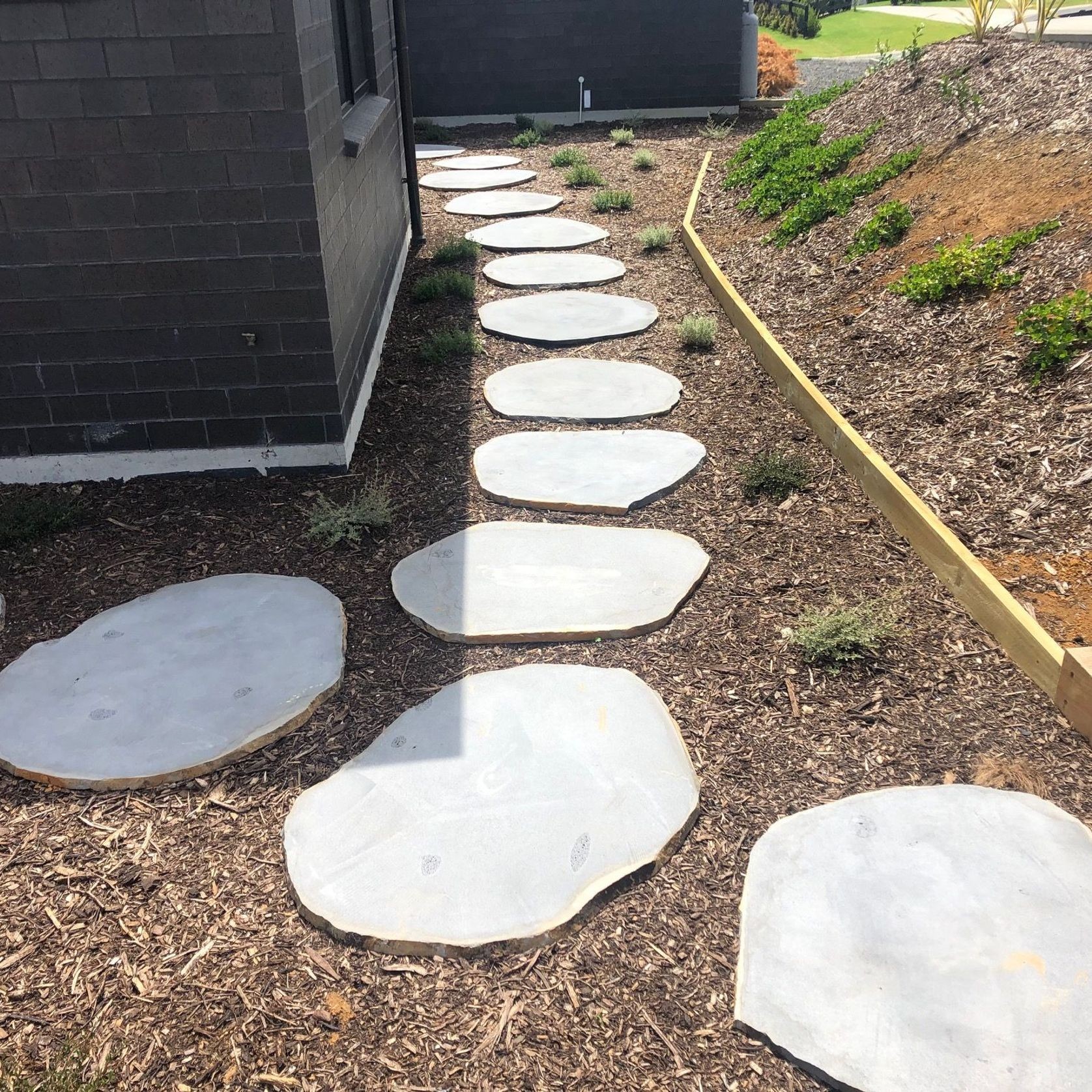 Steppers gallery detail image