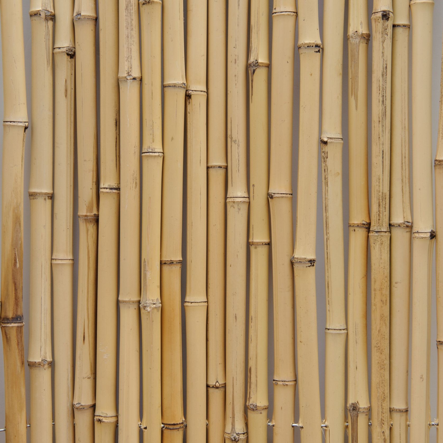 Bamboo Poles gallery detail image