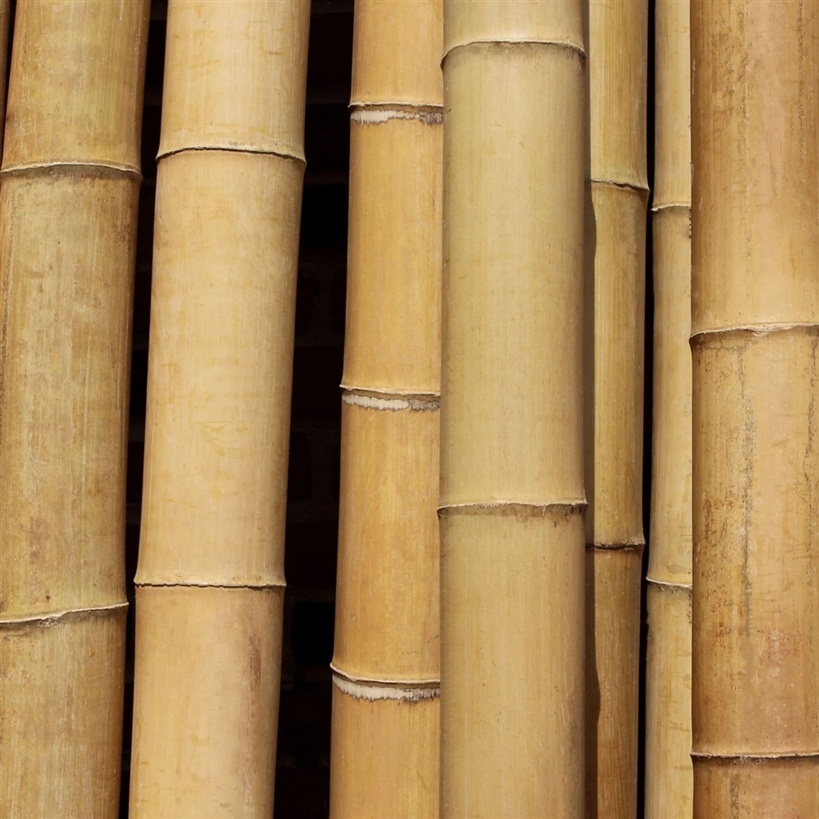 Bamboo Poles gallery detail image