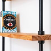 Pipe Ladder Shelf gallery detail image