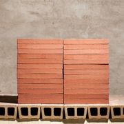 Extruded Clinker Bricks gallery detail image