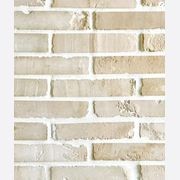 Jerusalem White - Reclamation Whites Bricks gallery detail image