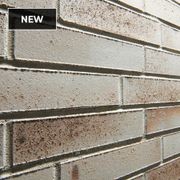 Accents | Brickslip Facades gallery detail image