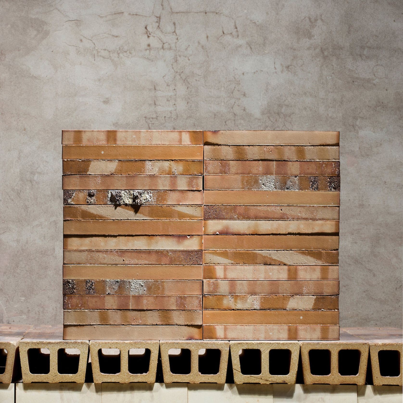 Extruded Clinker Bricks gallery detail image