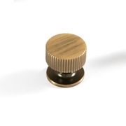 Momo Handles - Ambrose Collection gallery detail image