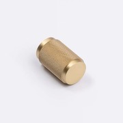 Brushed Brass Knurled Cabinet Knob - Helena gallery detail image