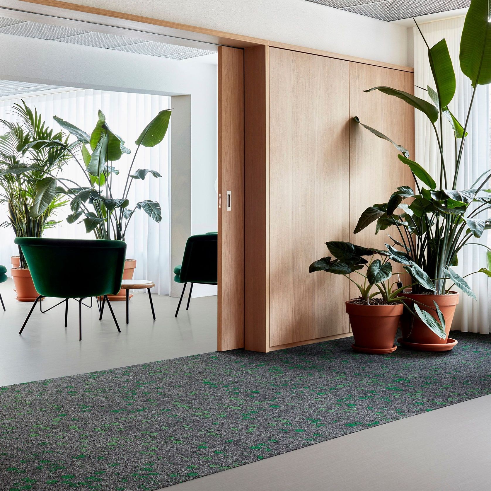 Brushed Lines ArchiPro AU