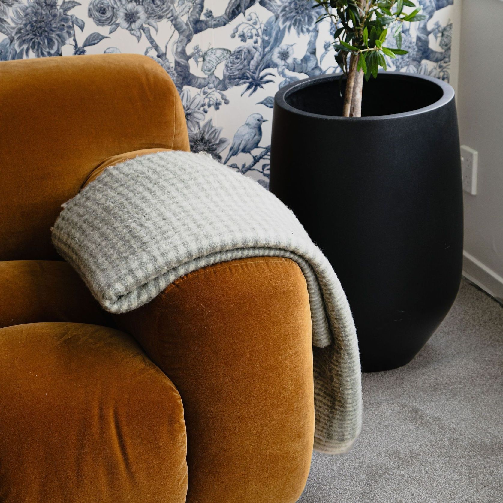 Econa ECONYL® 100% Recycled Nylon Yarn Carpet NZ Made gallery detail image