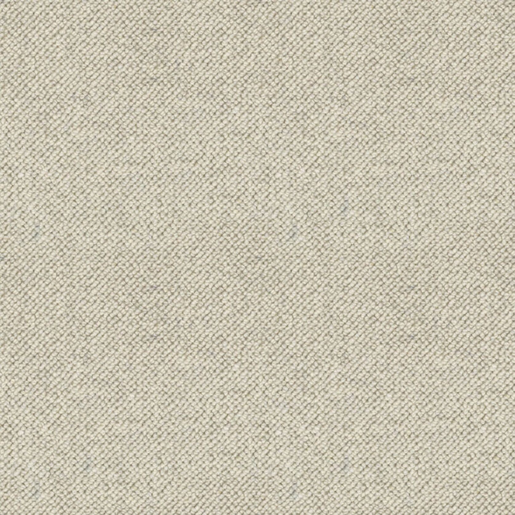 Camden Downs gallery detail image