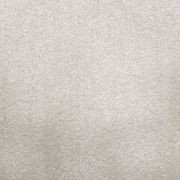 2613 gallery detail image