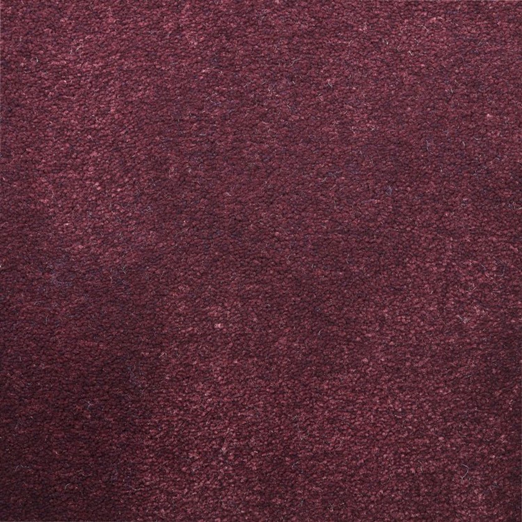 2613 gallery detail image