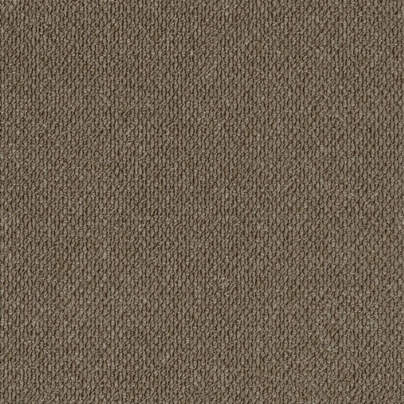 Elias Point gallery detail image