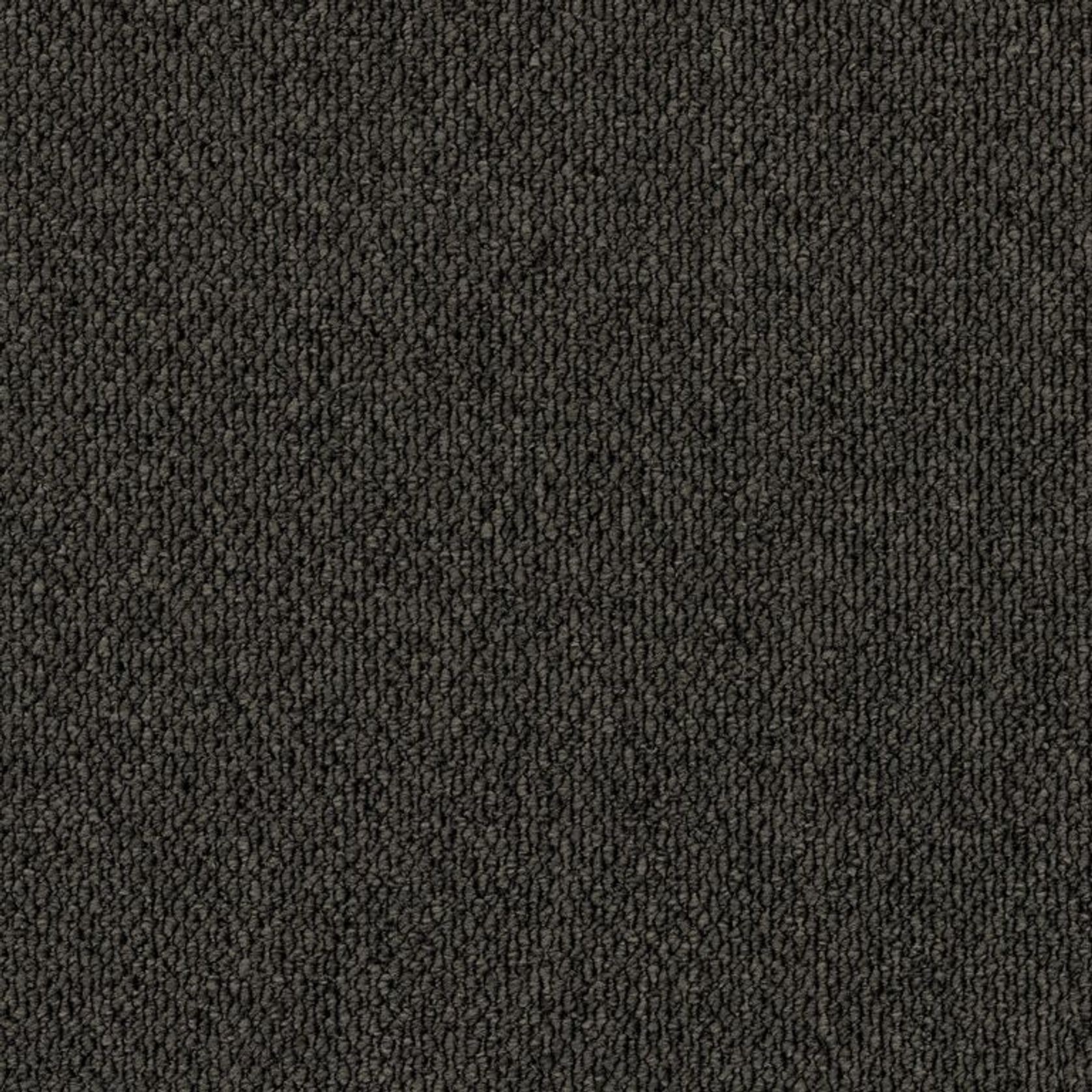 Elias Point gallery detail image