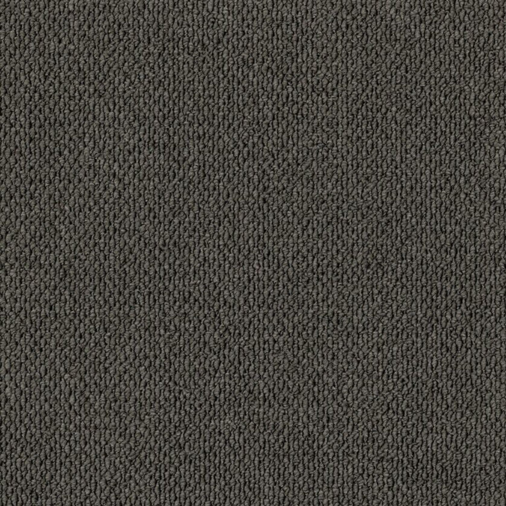 Elias Point gallery detail image