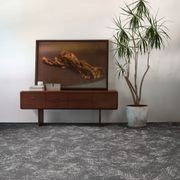 Light Catcher Carpet Collection by Bentley Mills gallery detail image