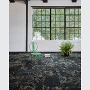 Light Catcher Carpet Collection by Bentley Mills gallery detail image