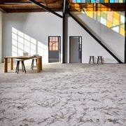 Light Catcher Carpet Collection by Bentley Mills gallery detail image