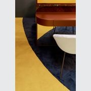 Shining 1300 gallery detail image