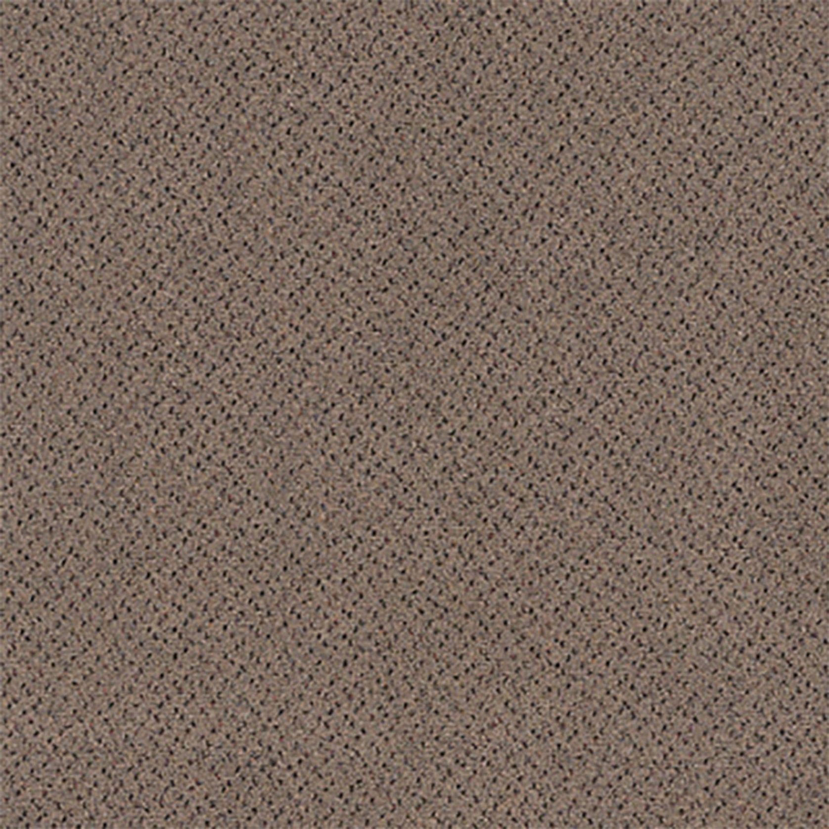 Antics gallery detail image