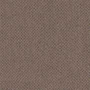 Antics gallery detail image