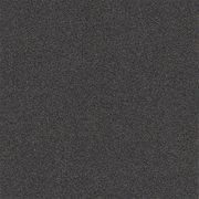 Antics gallery detail image