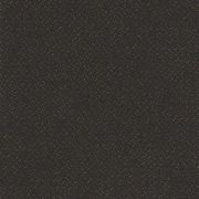 Antics gallery detail image