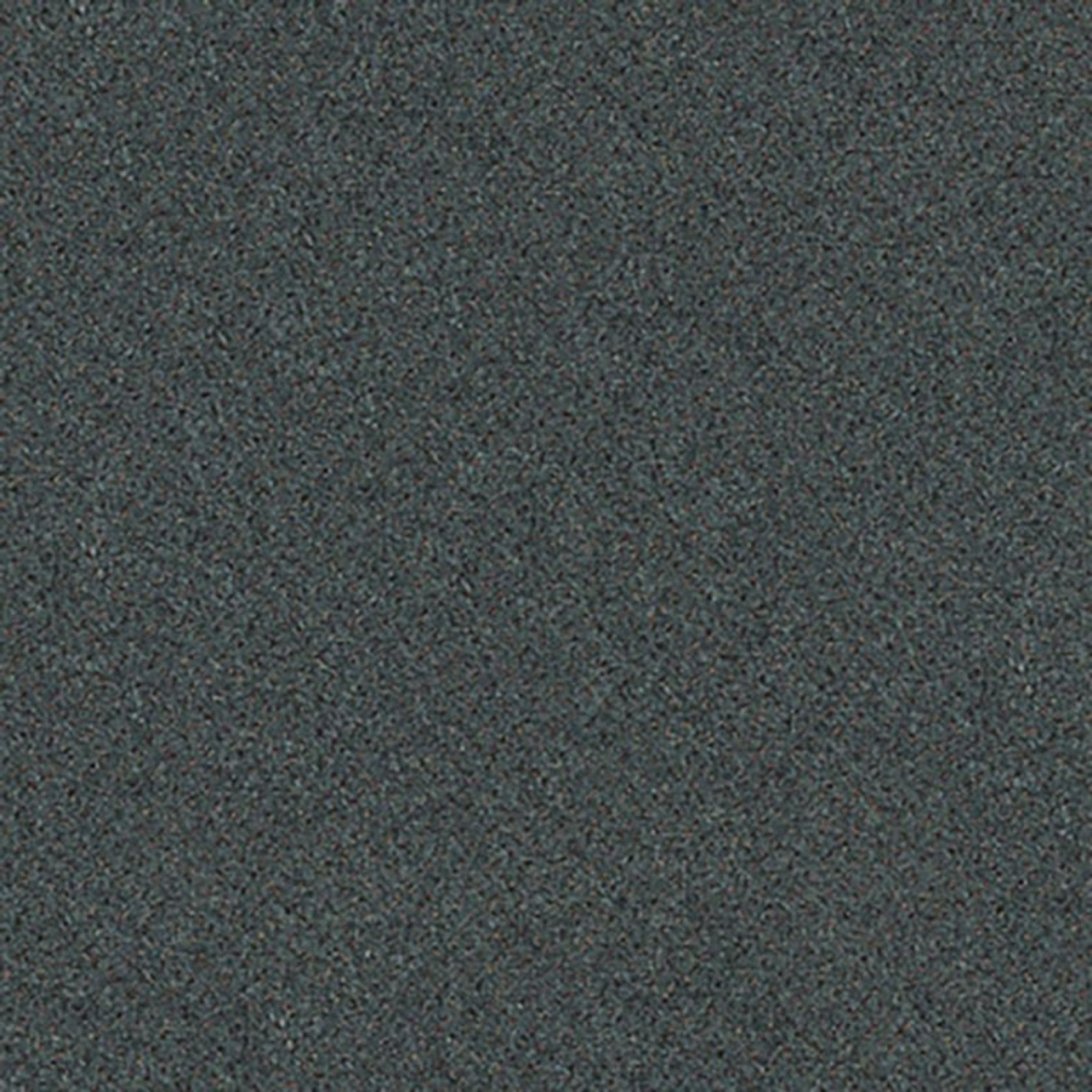 Antics gallery detail image