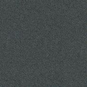 Antics gallery detail image