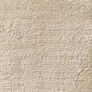 Agra gallery detail image