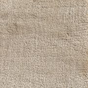 Agra gallery detail image