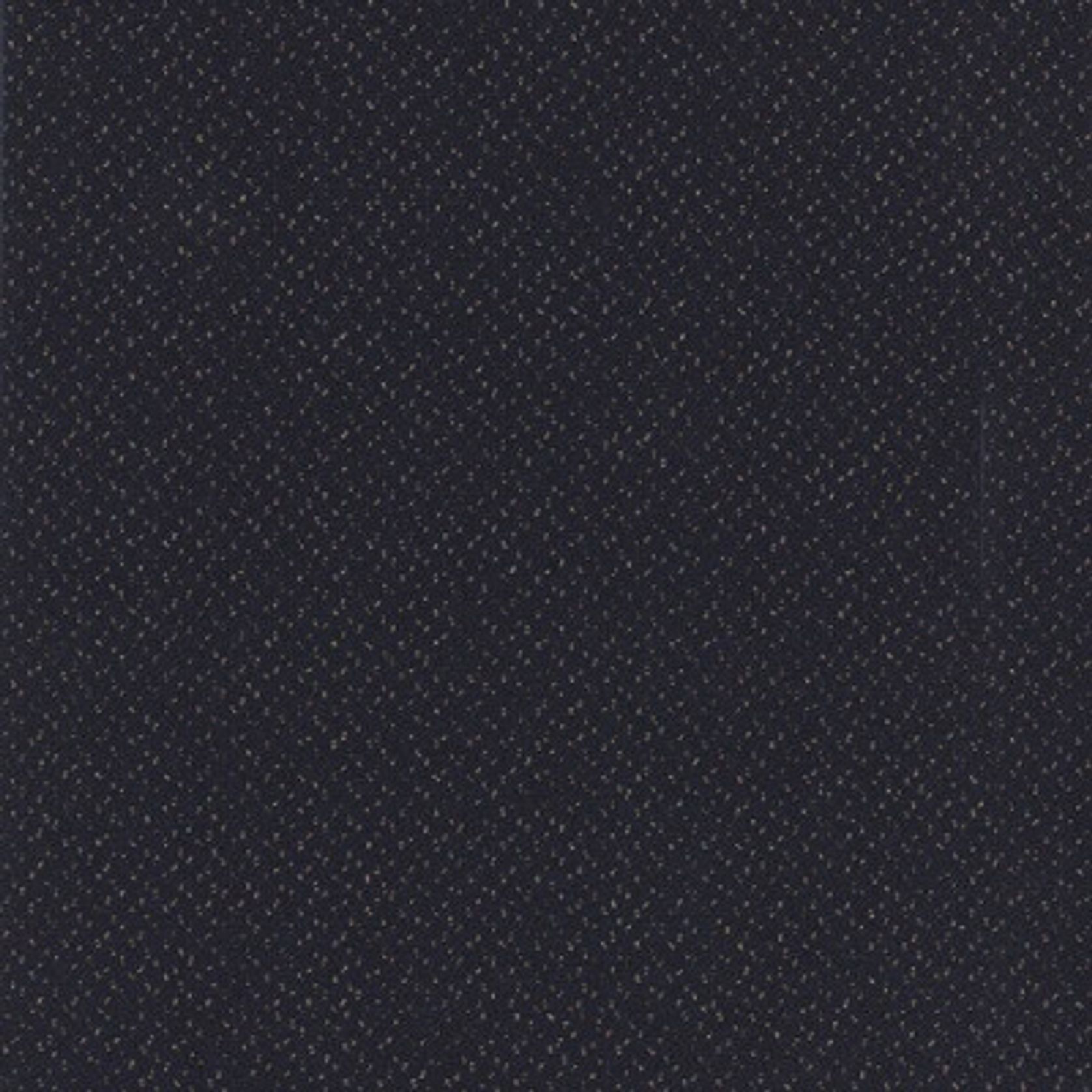 Antics gallery detail image