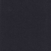 Antics gallery detail image