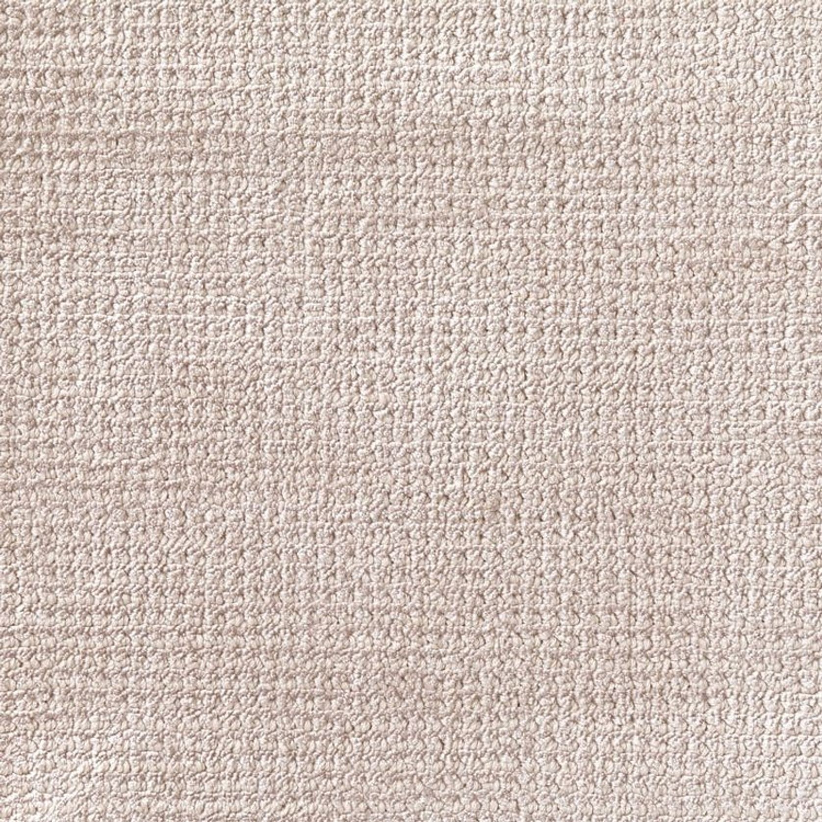 Arani gallery detail image