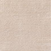 Arani gallery detail image