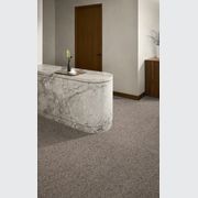 Lost Language carpet by Bentley Mills gallery detail image