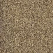 Parkview Gardens by Belgotex | Carpet gallery detail image