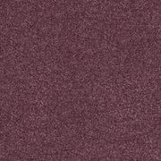 Casa Feliz gallery detail image