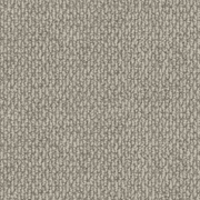 Crusade gallery detail image