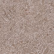 Windsor gallery detail image